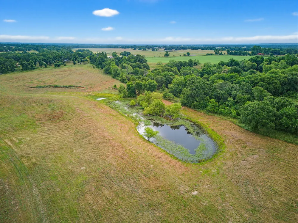 Fm 1749 Forestburg, TX 76239