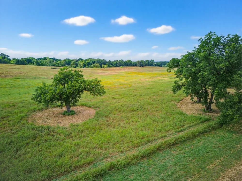 Fm 1749 Forestburg, TX 76239