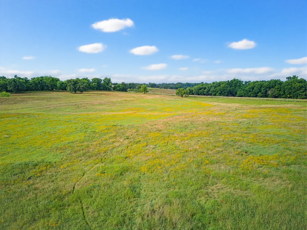 Fm 1749 Forestburg, TX 76239