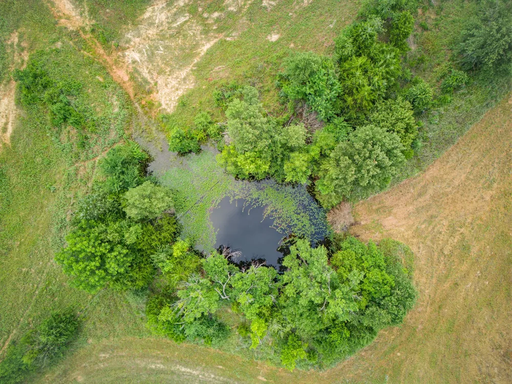 Fm 1749 Forestburg, TX 76239