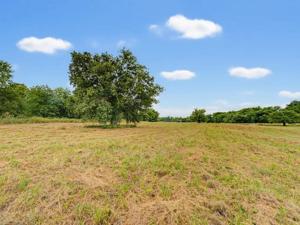 Fm 1749 Forestburg, TX 76239
