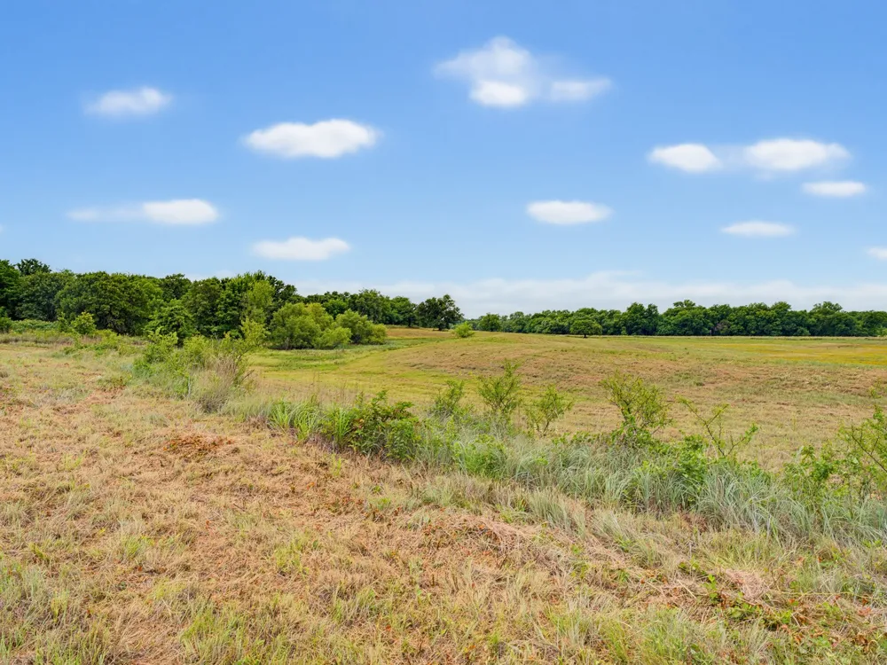 Fm 1749 Forestburg, TX 76239