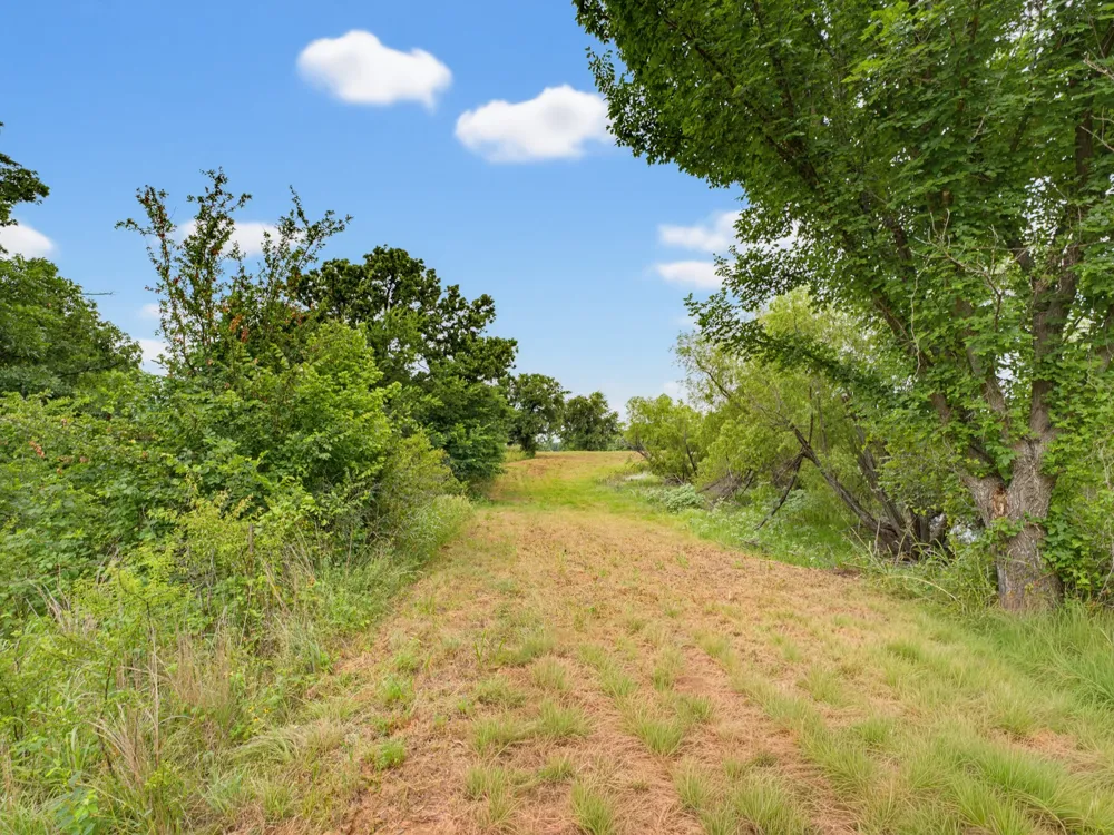 Fm 1749 Forestburg, TX 76239