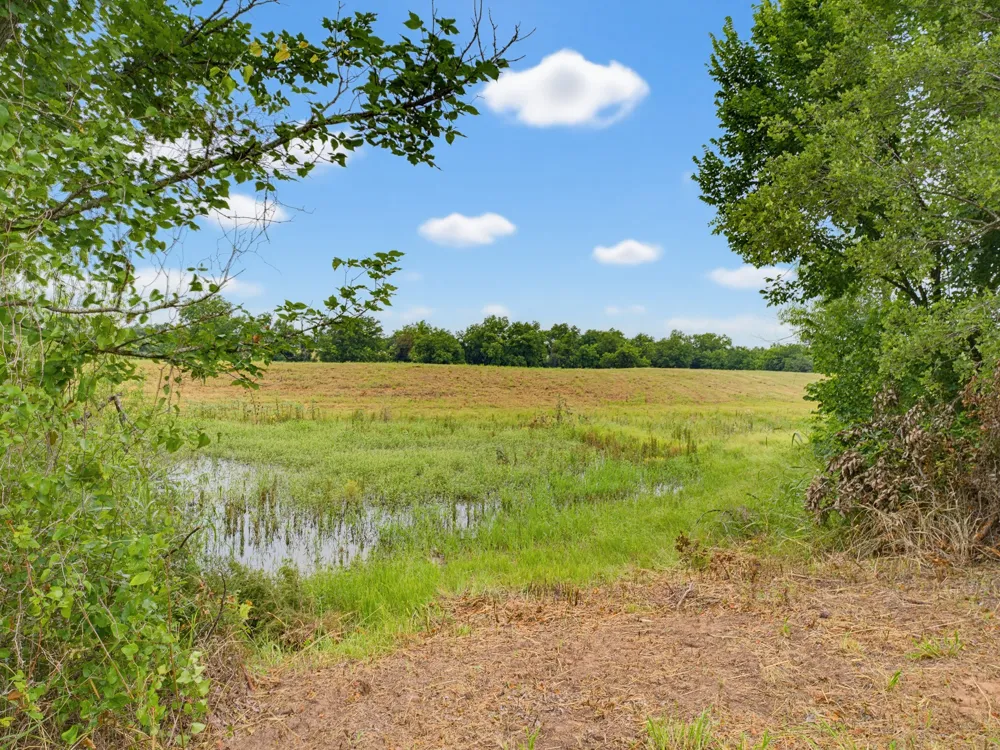 Fm 1749 Forestburg, TX 76239