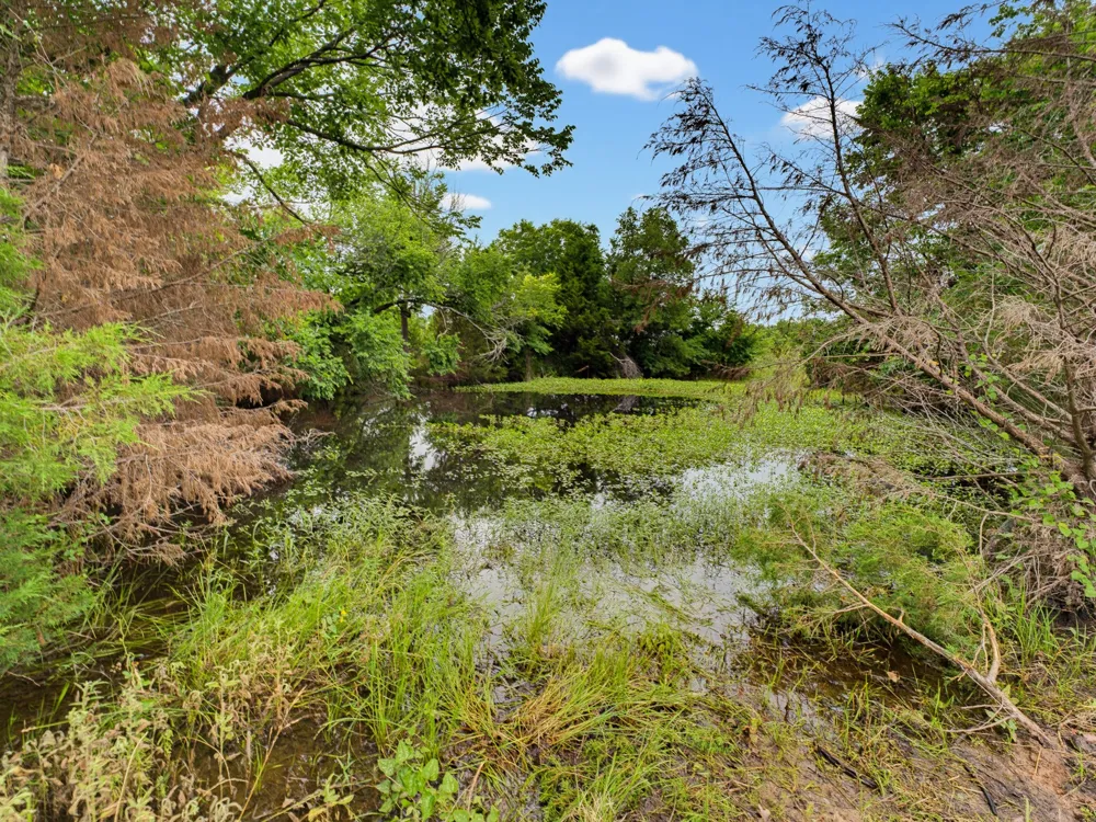 Fm 1749 Forestburg, TX 76239