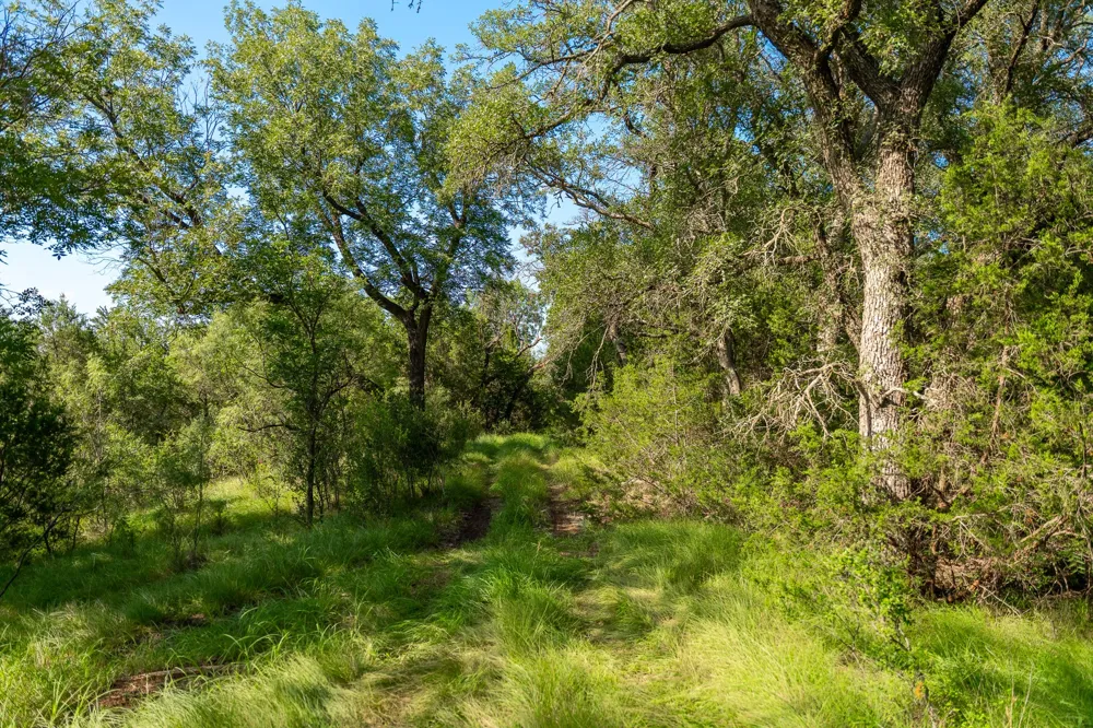 CR 224 No City, TX 76827