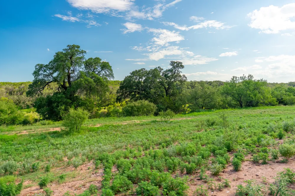 CR 224 No City, TX 76827