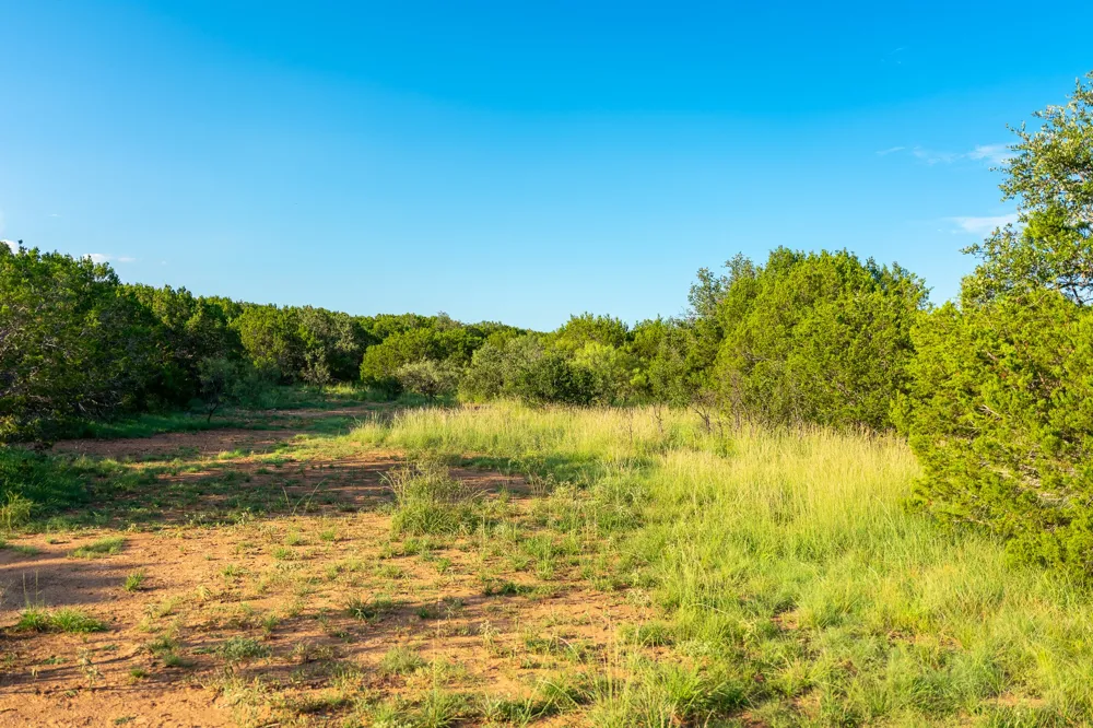 CR 224 No City, TX 76827