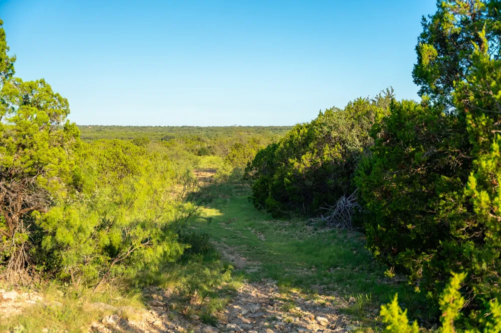 CR 224 No City, TX 76827