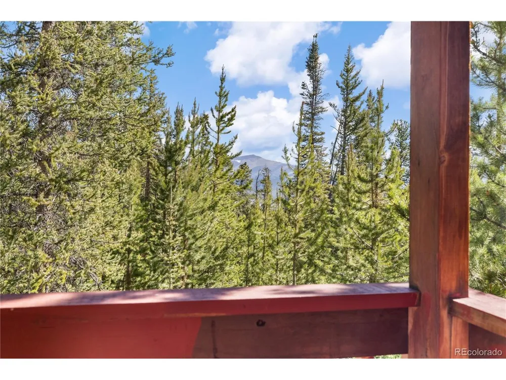 424 Dry Gulch Road Fairplay, CO 80440