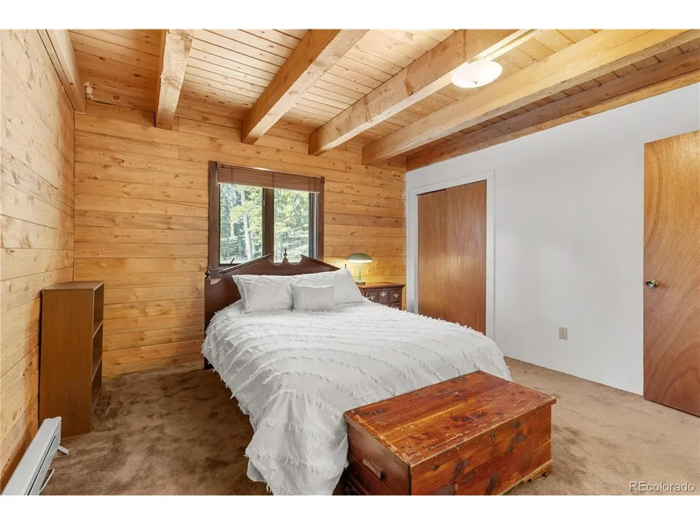 424 Dry Gulch Road Fairplay, CO 80440