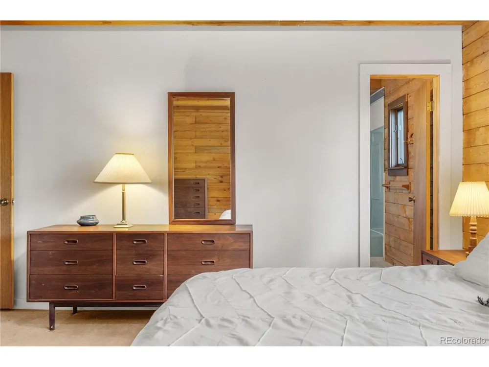 424 Dry Gulch Road Fairplay, CO 80440