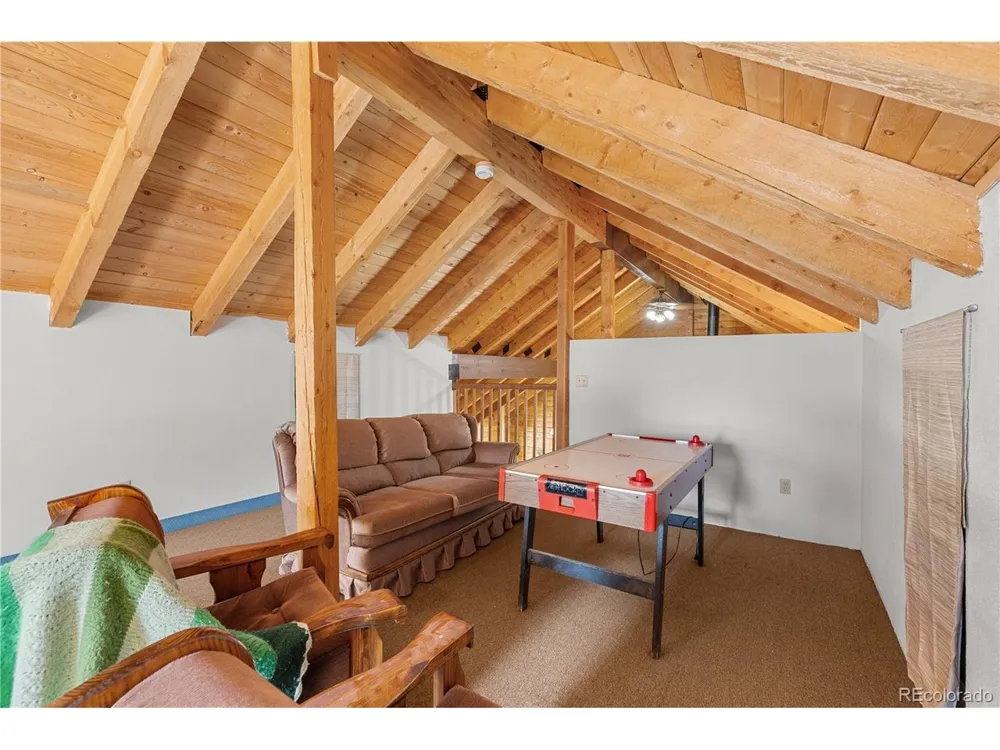 424 Dry Gulch Road Fairplay, CO 80440