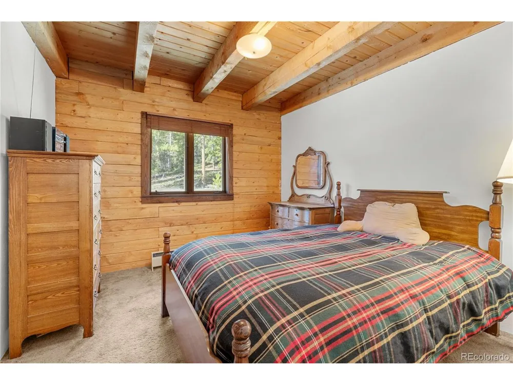 424 Dry Gulch Road Fairplay, CO 80440