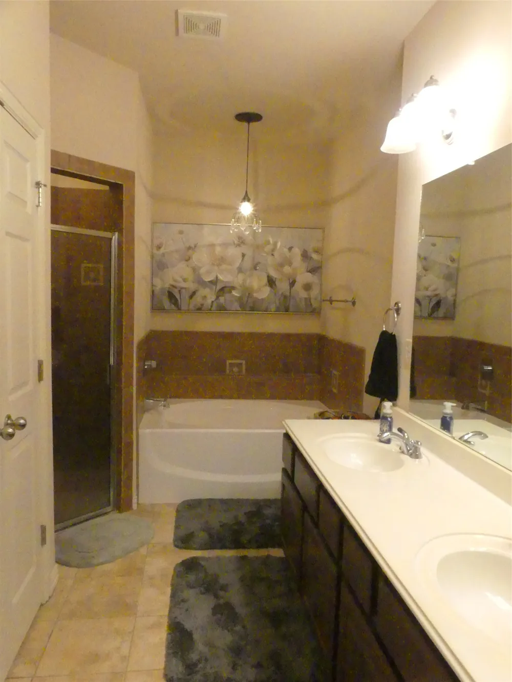 332 Emma Call Court Decatur, TX 76234