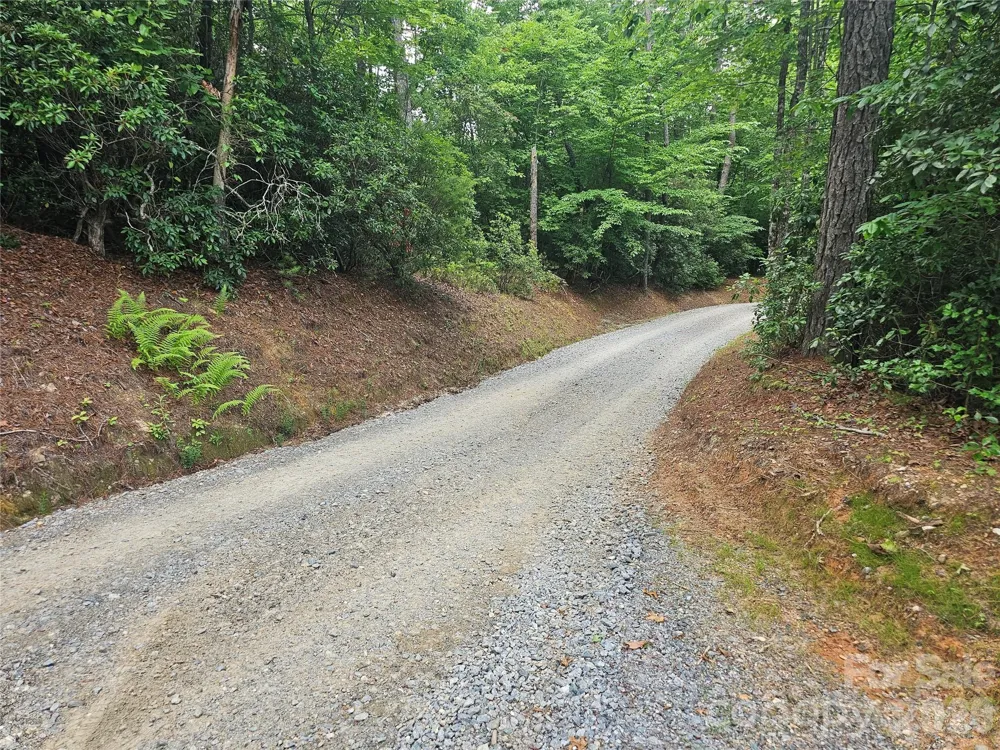 171 Duff Cove Road Brevard, NC 28712