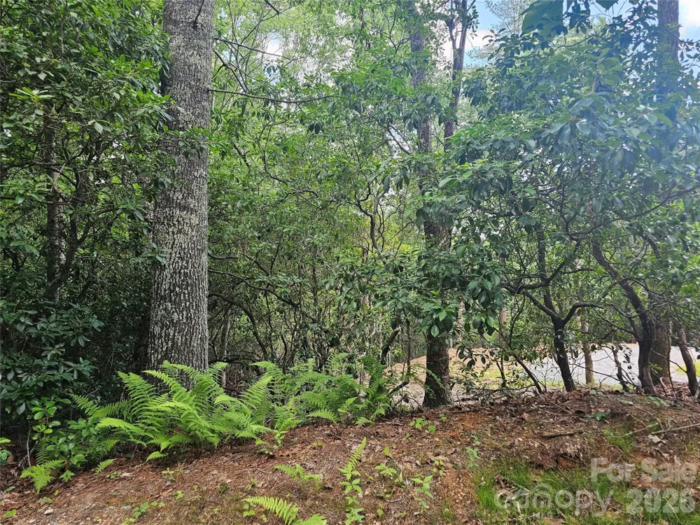 171 Duff Cove Road Brevard, NC 28712