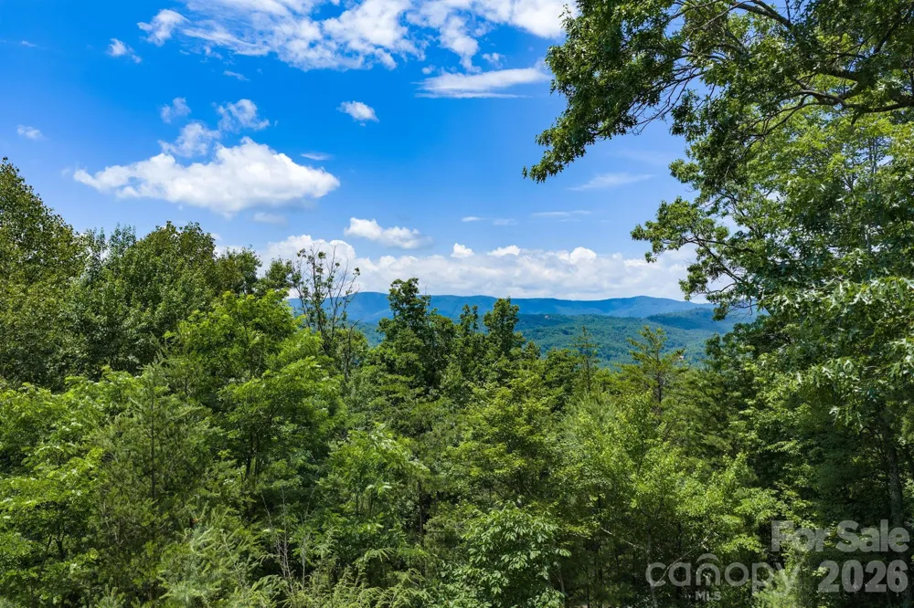 1987 Buck Mountain Road Purlear, NC 28665