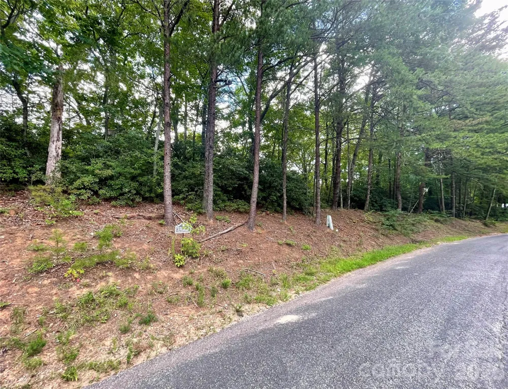 282 Quail Ridge Road Lake Lure, NC 28746