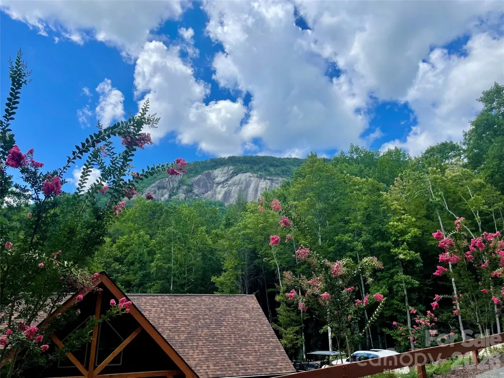282 Quail Ridge Road Lake Lure, NC 28746
