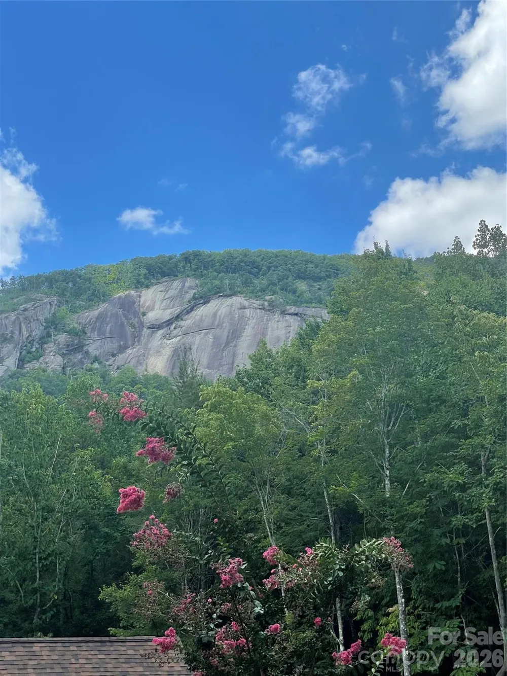 282 Quail Ridge Road Lake Lure, NC 28746
