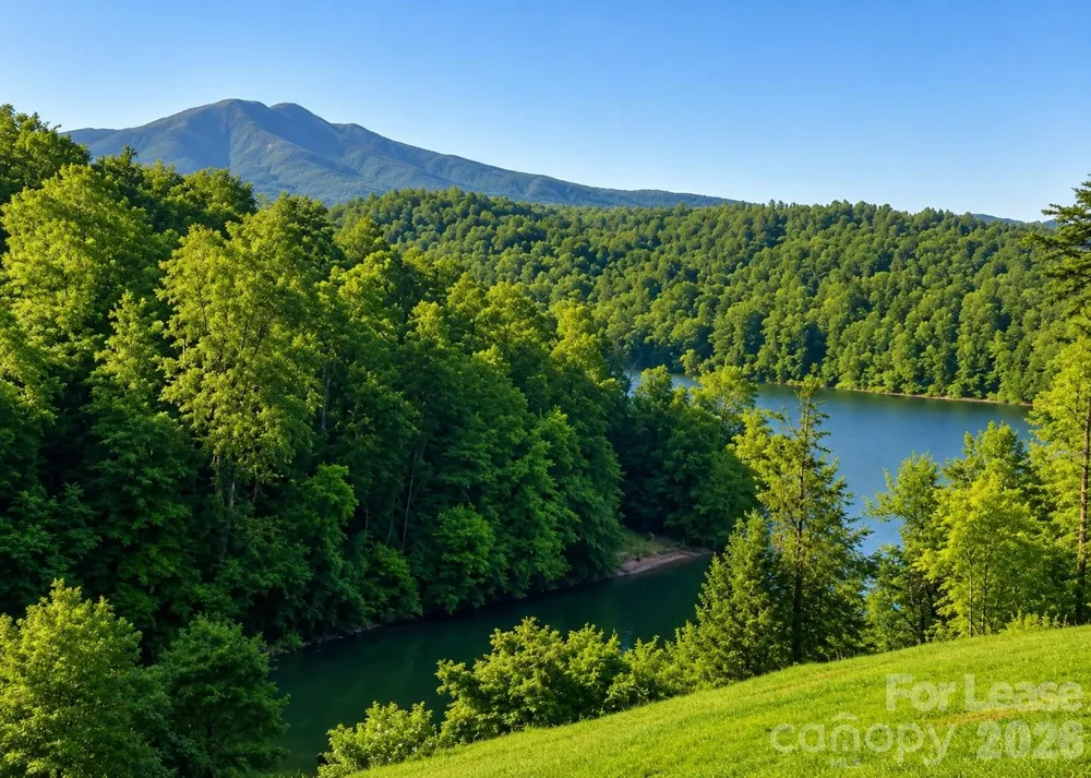 113 Lakeside Drive Marion, NC 28752