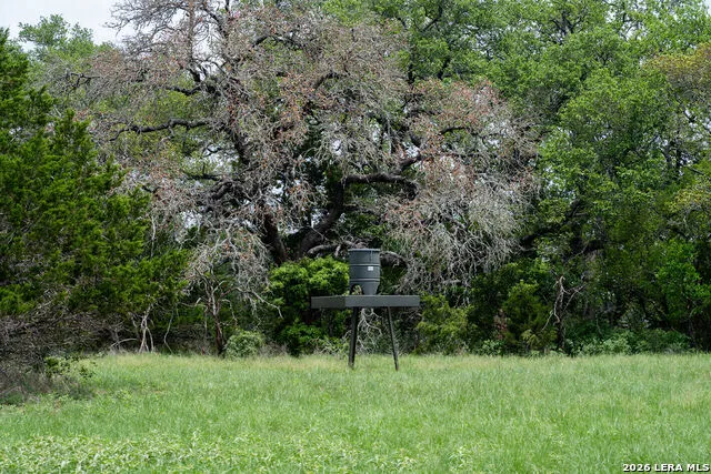 426 MILL RUN New Braunfels, TX 78132