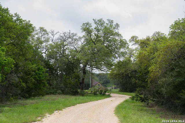 426 MILL RUN New Braunfels, TX 78132