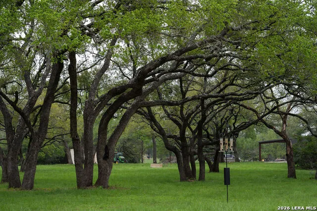 426 MILL RUN New Braunfels, TX 78132