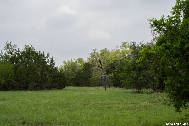 426 MILL RUN New Braunfels, TX 78132