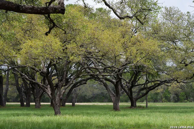 426 MILL RUN New Braunfels, TX 78132
