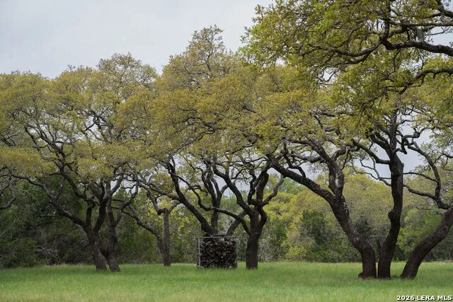 426 MILL RUN New Braunfels, TX 78132