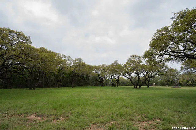 426 MILL RUN New Braunfels, TX 78132