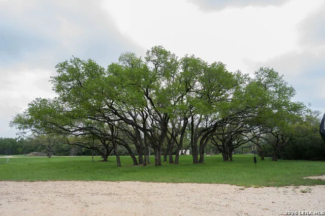 426 MILL RUN New Braunfels, TX 78132