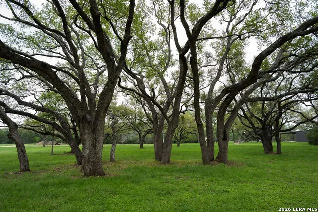 426 MILL RUN New Braunfels, TX 78132