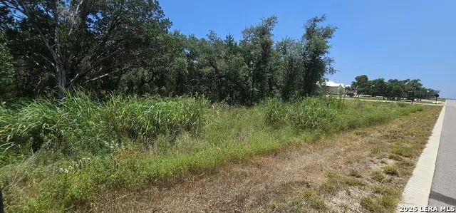 34716 ANSLEY RIDGE TRL Bulverde, TX 78163