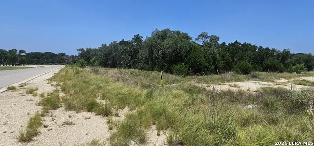 34716 ANSLEY RIDGE TRL Bulverde, TX 78163