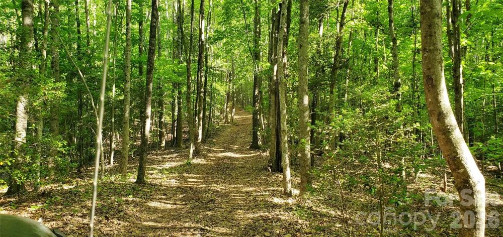 795 Elk Shoals Church Loop Stony Point, NC 28678