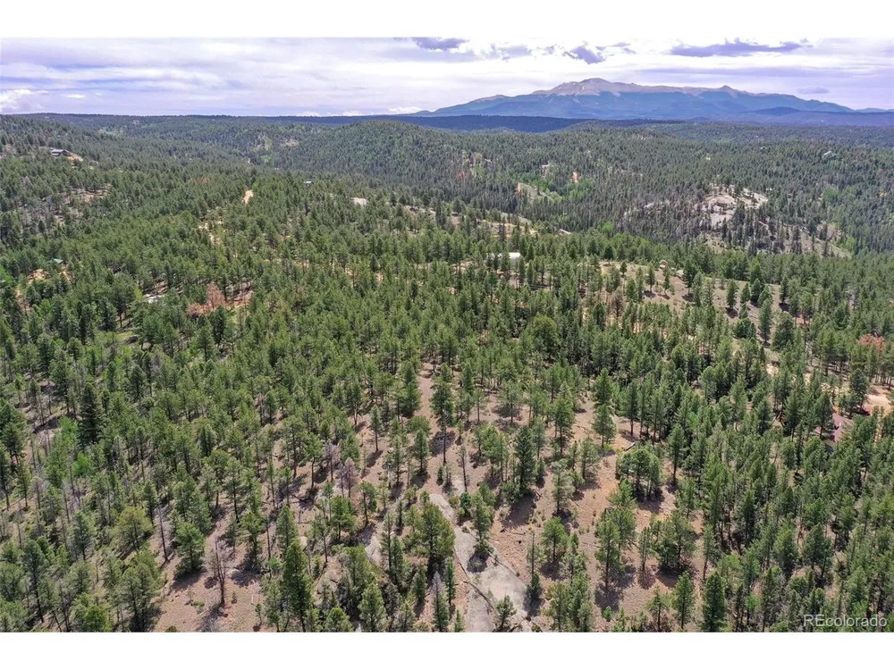 293 Badger Trail Florissant, CO 80816
