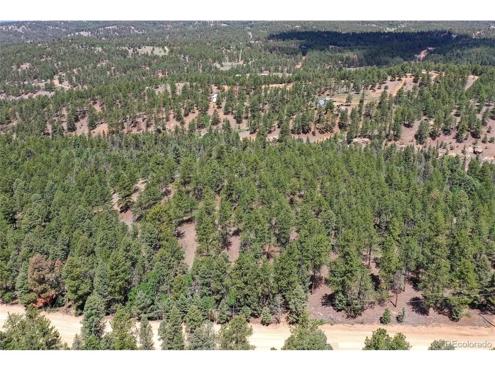 293 Badger Trail Florissant, CO 80816