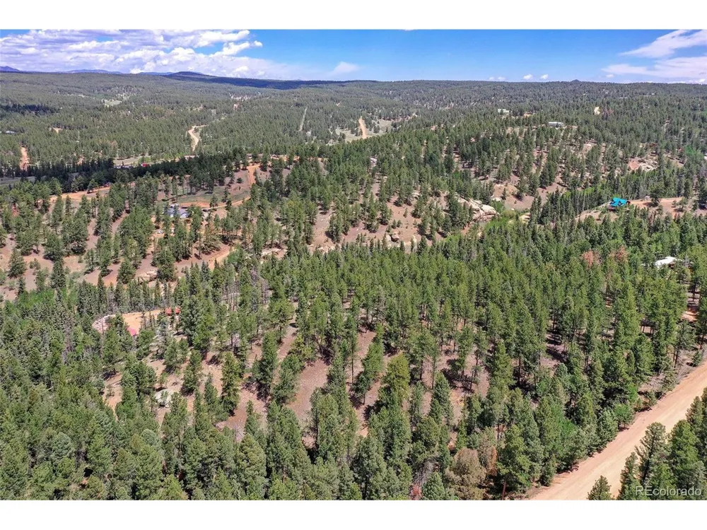 293 Badger Trail Florissant, CO 80816