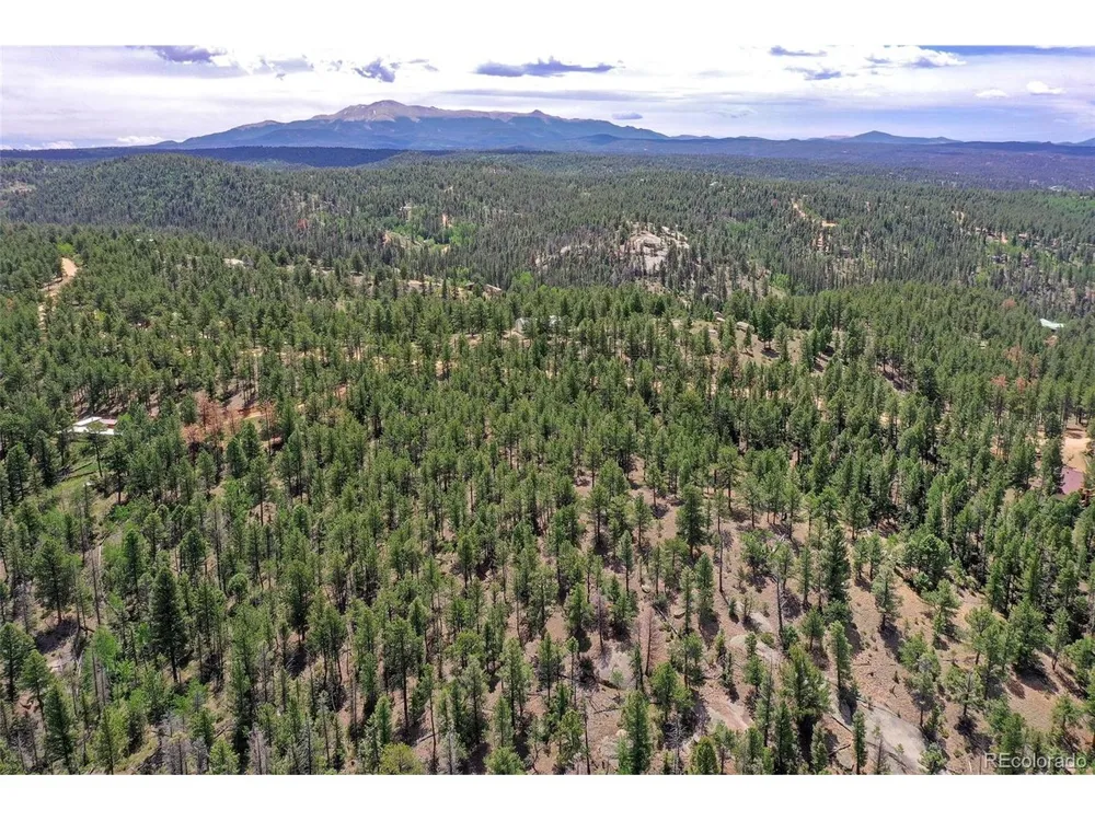293 Badger Trail Florissant, CO 80816