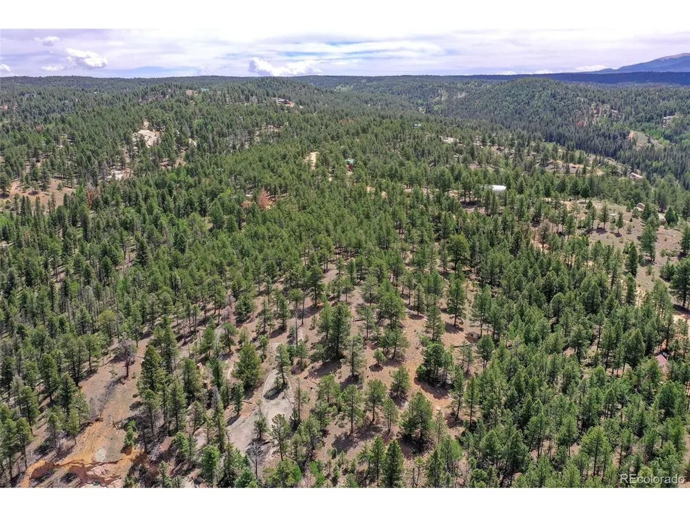 293 Badger Trail Florissant, CO 80816