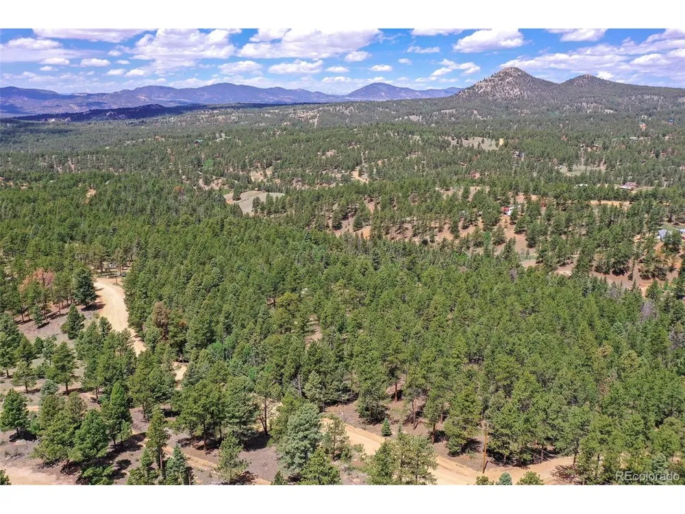 293 Badger Trail Florissant, CO 80816
