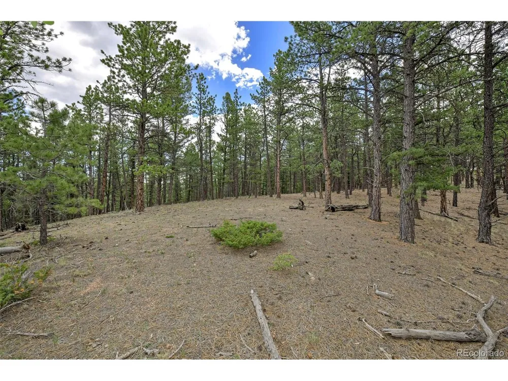293 Badger Trail Florissant, CO 80816