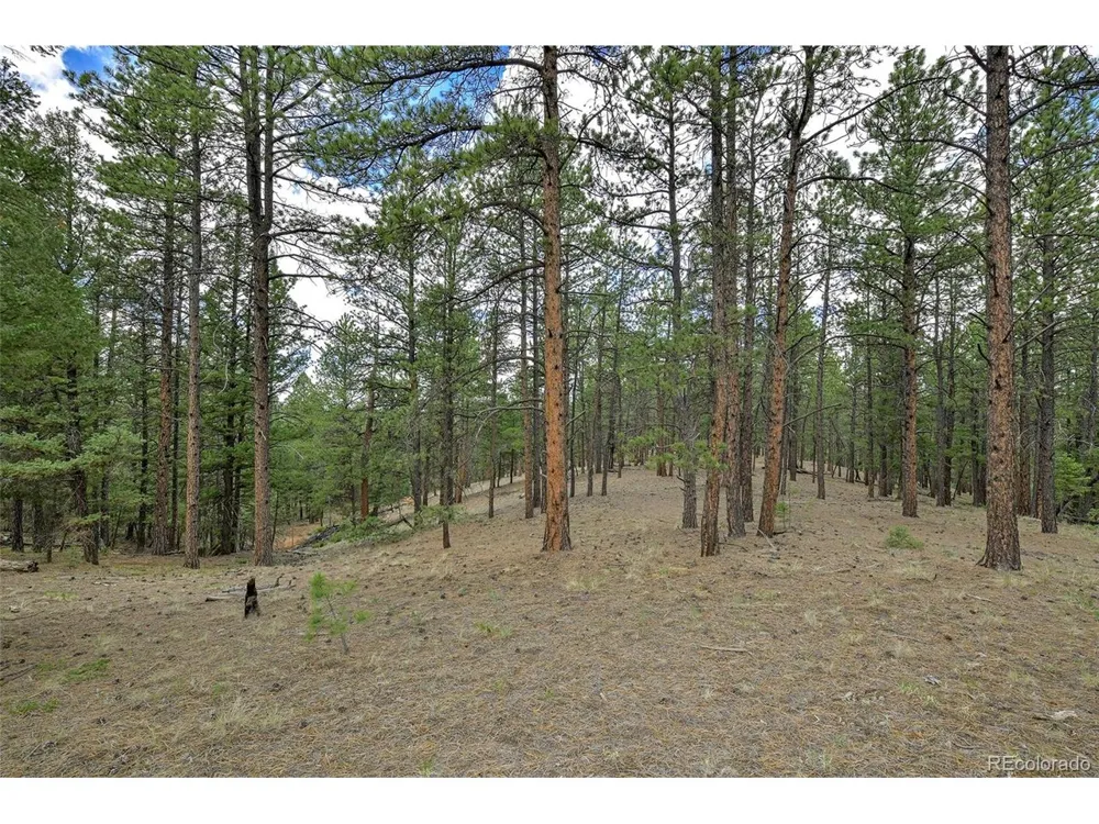 293 Badger Trail Florissant, CO 80816