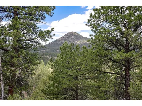 293 Badger Trail