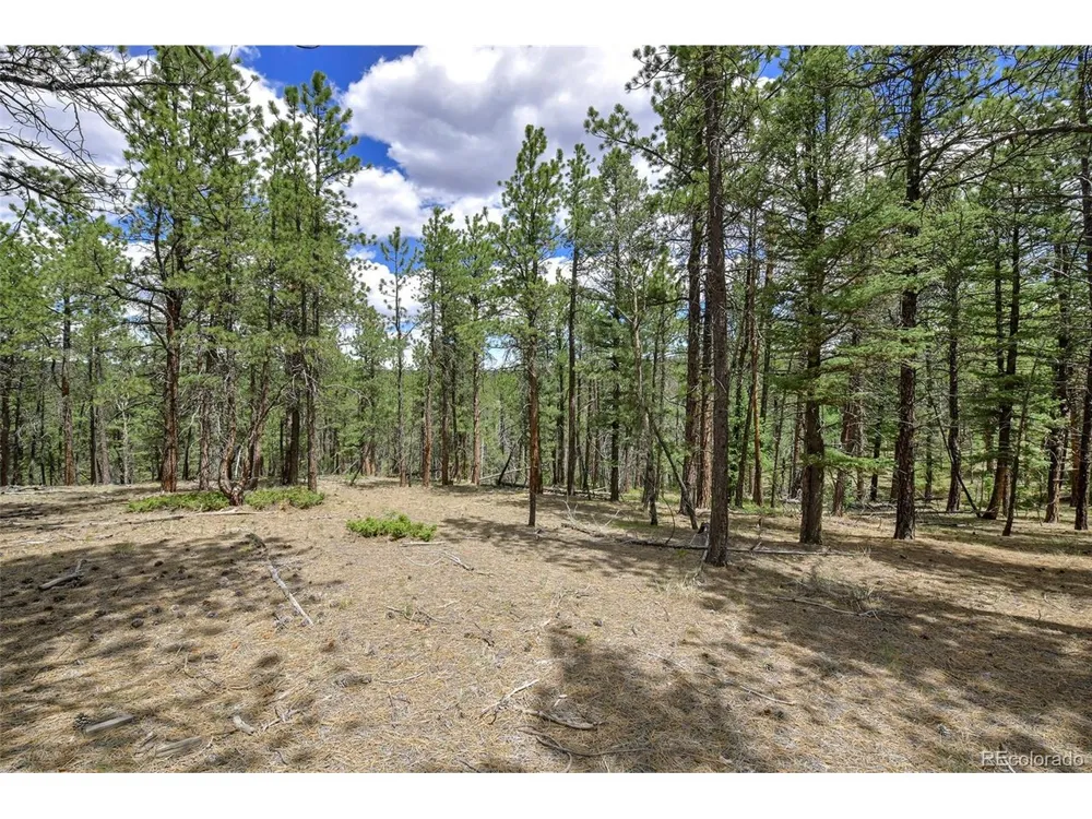 293 Badger Trail Florissant, CO 80816