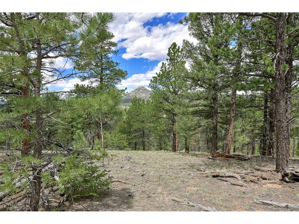 293 Badger Trail Florissant, CO 80816