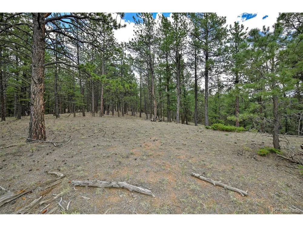293 Badger Trail Florissant, CO 80816